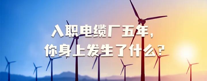 入職電纜廠五年，你身上發(fā)生了哪些變化~